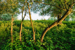 FPE_20130528_0069_HDR