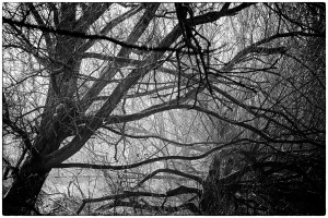 FPE_winter_20160122_0097