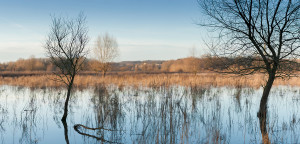 FPE_winter_20160125_0231-Pano