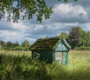 wapenveld